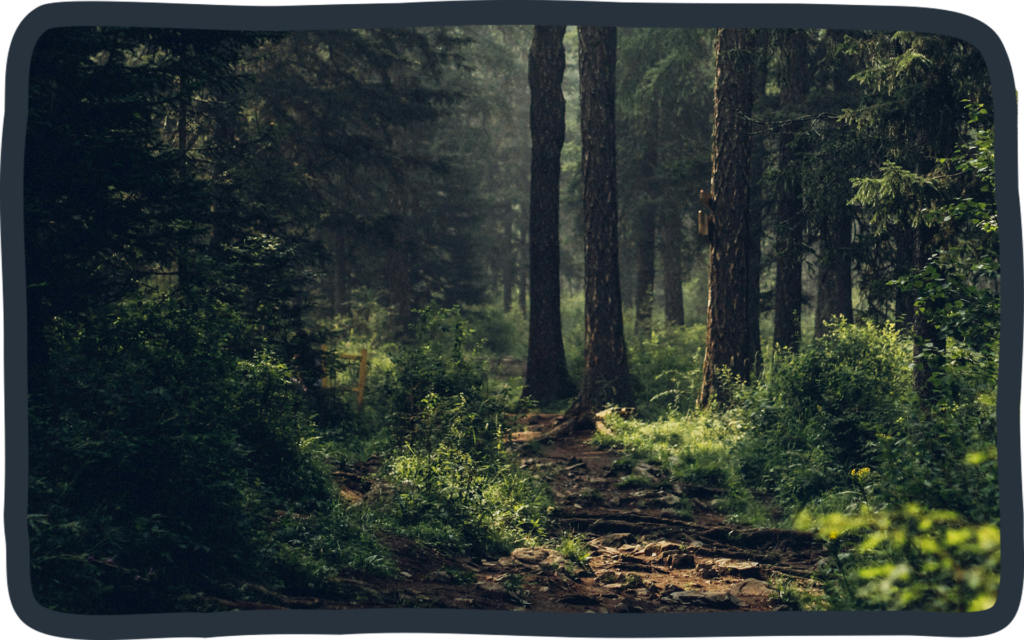 thumbnail Blogartikel