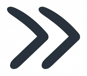 IGW-gestaltungselemente-icons_Zeichenflaeche